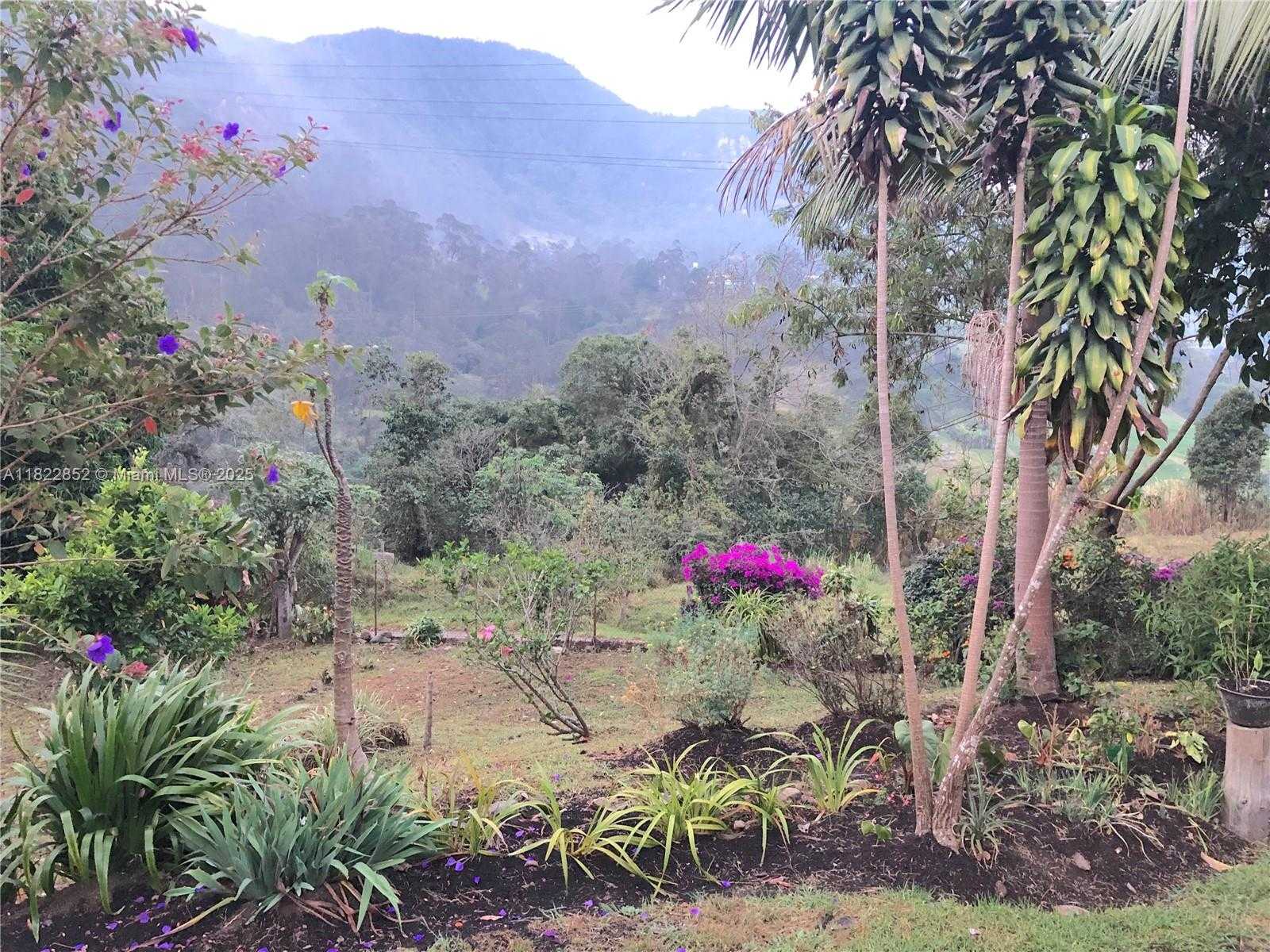 Small Image of BOGOTA #3, Out of City Number 16