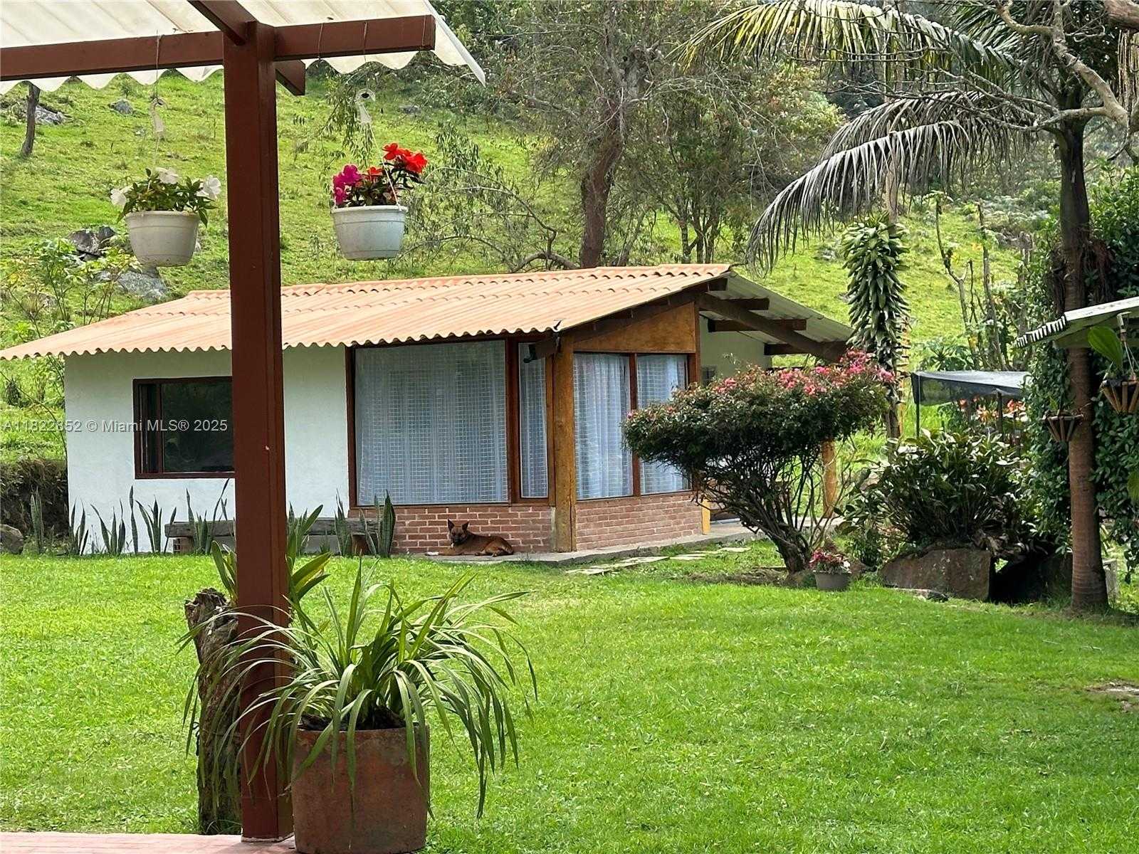 Small Image of BOGOTA #3, Out of City Number 6