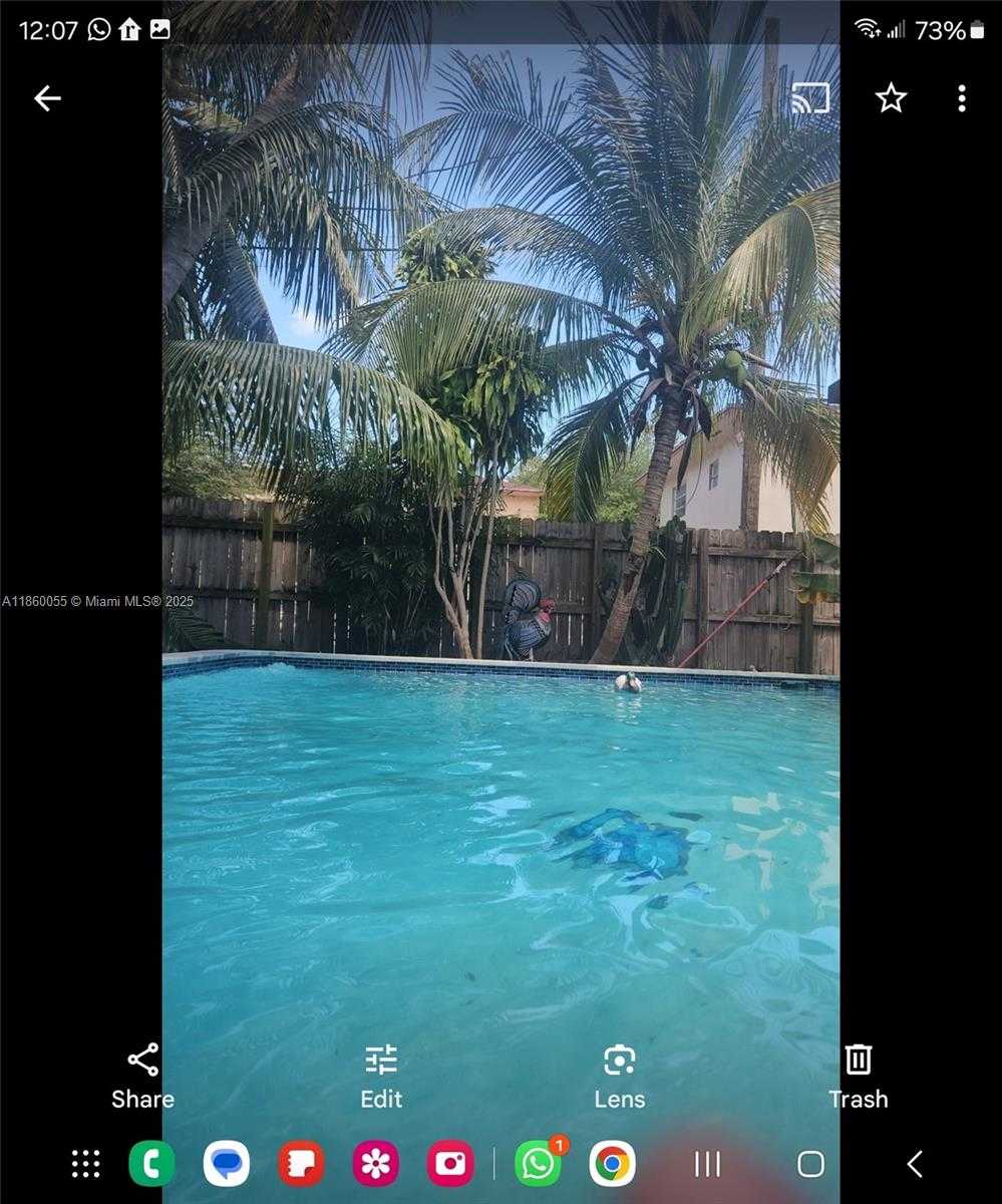 Small Image of Miami Number 7