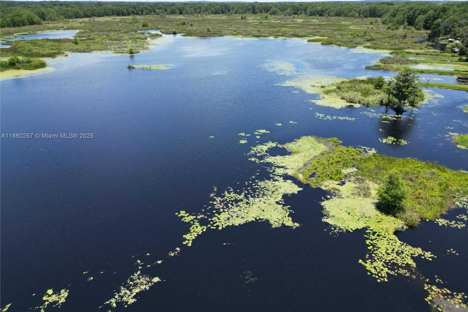 Small Image of 8781 S LAKESHORE DRIVE FLORAL CITY #2, Other City - In The State Of Florida Number 2