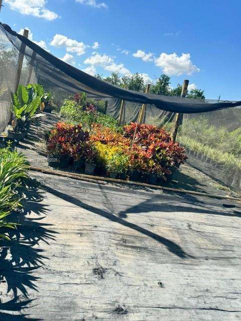 Small Image of 14041 SOUTH WEST 197 AVE MIAMI FL 33196, Miami Number 11