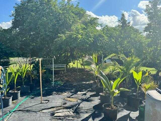 Small Image of 14041 SOUTH WEST 197 AVE MIAMI FL 33196, Miami Number 13