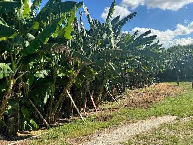 Small Image of 14041 SOUTH WEST 197 AVE MIAMI FL 33196, Miami Number 15