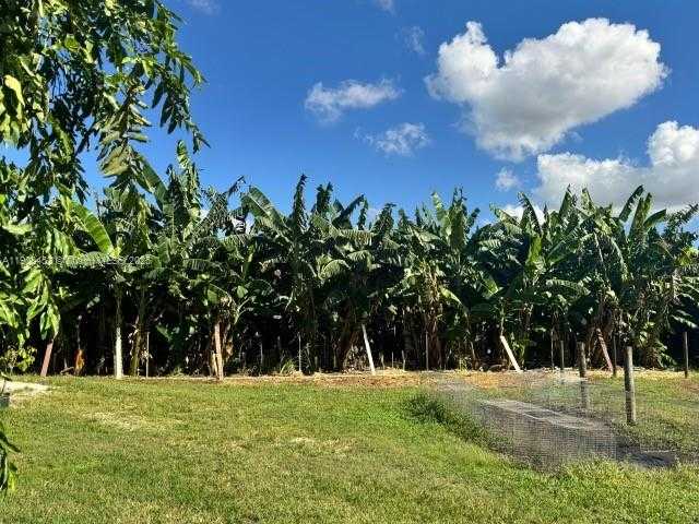 Small Image of 14041 SOUTH WEST 197 AVE MIAMI FL 33196, Miami Number 6