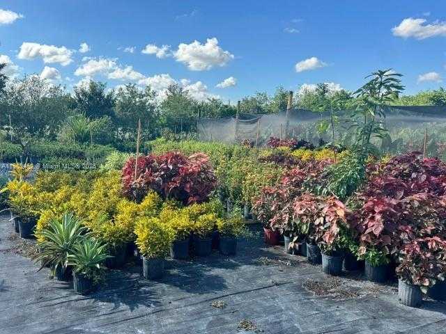 Small Image of 14041 SOUTH WEST 197 AVE MIAMI FL 33196, Miami Number 9