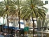 Small Object Image