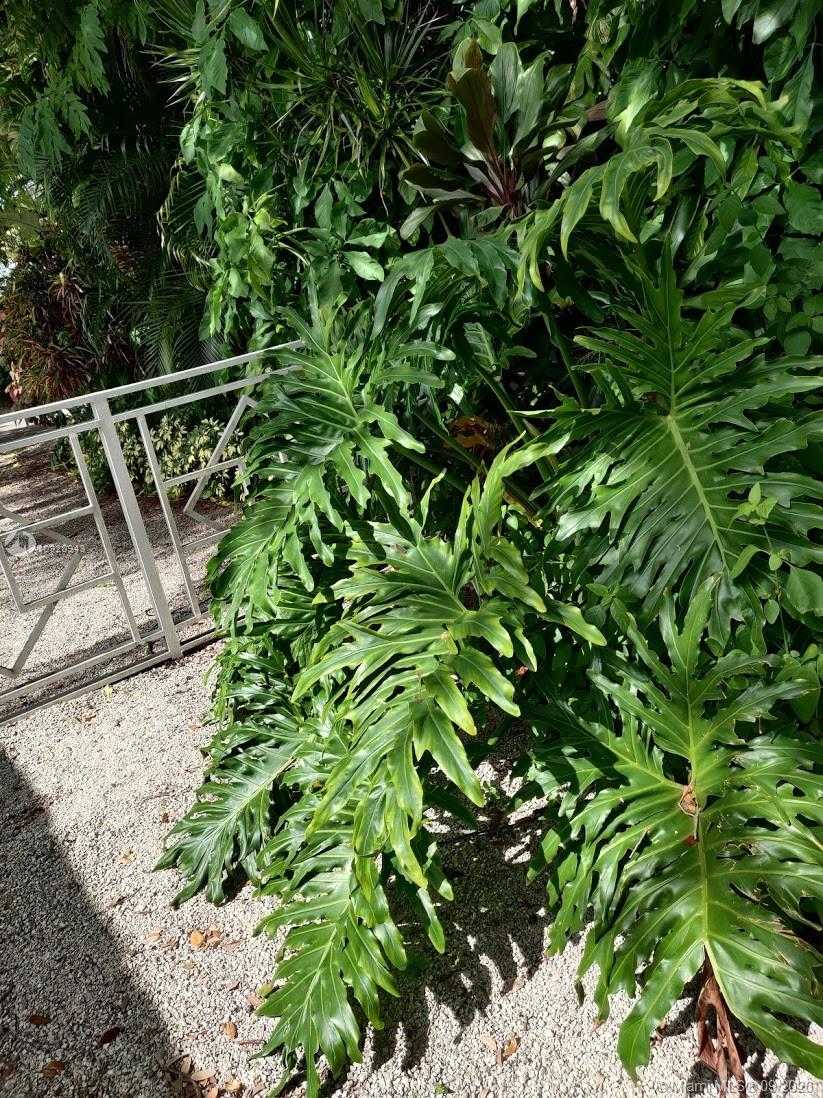Small Image of 4161 VENTURA AVE #4161, Coconut Grove Number 36
