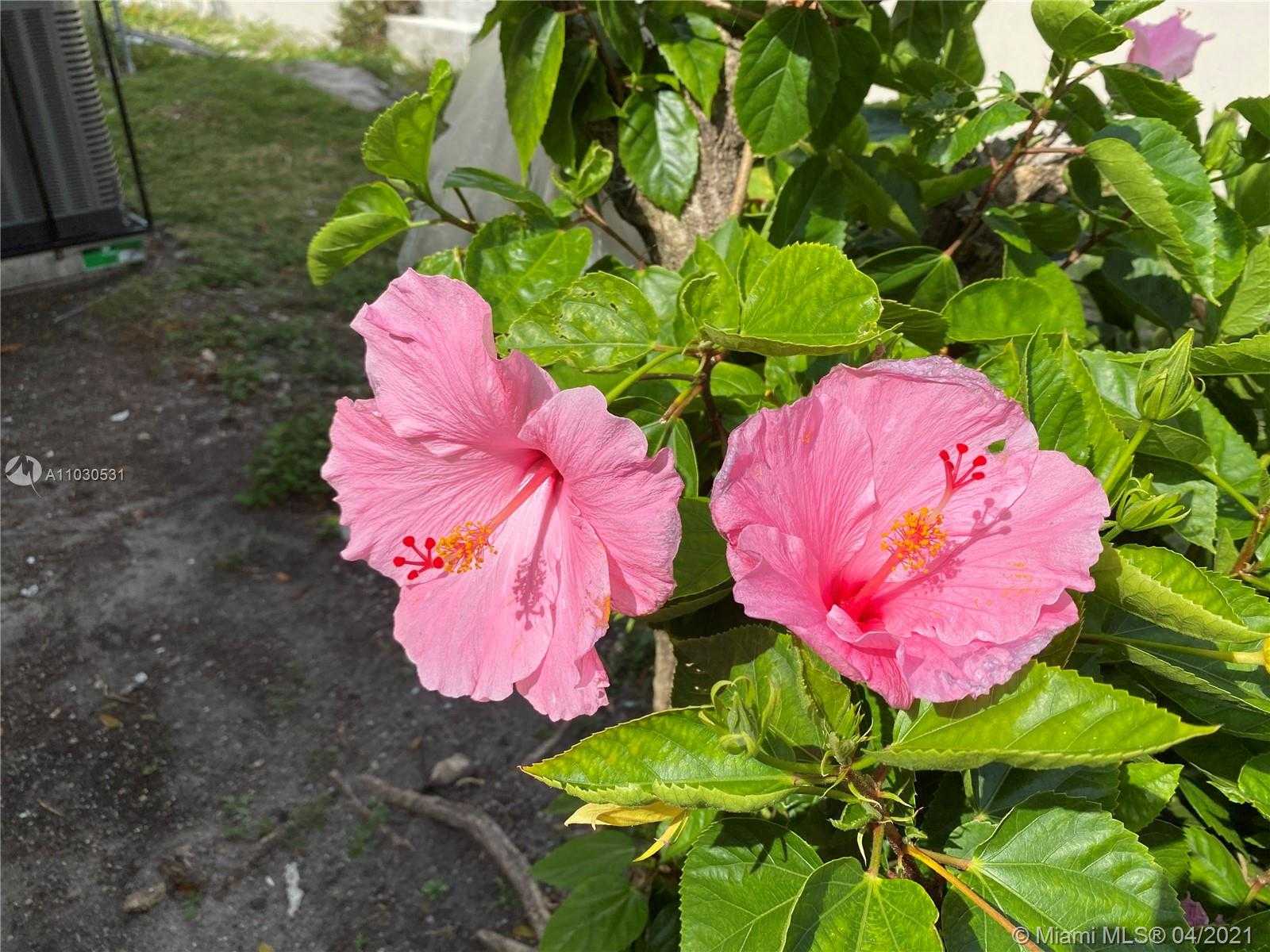 Small Image of 3463 PERCIVAL AVE, Miami Number 25