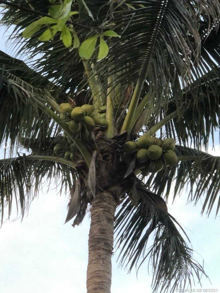Small Image of 39 SOUTH EAST 12TH ST, Dania Beach Number 5