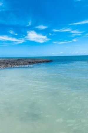 Small Image of 559 49TH STREET OCEAN #559, Marathon Number 20