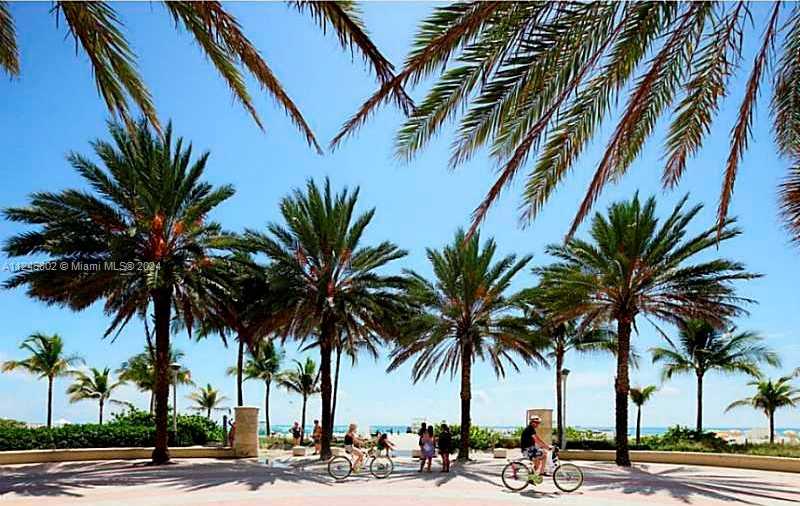 Small Image of 100 LINCOLN RD #314 B, Miami Beach Number 43