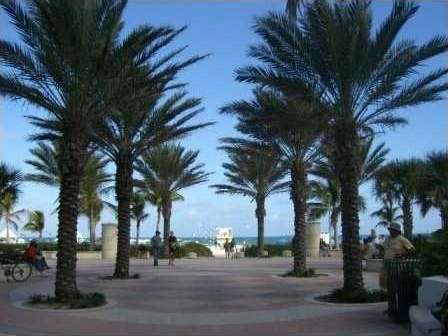 Small Image of 100 LINCOLN RD #1440, Miami Beach Number 23