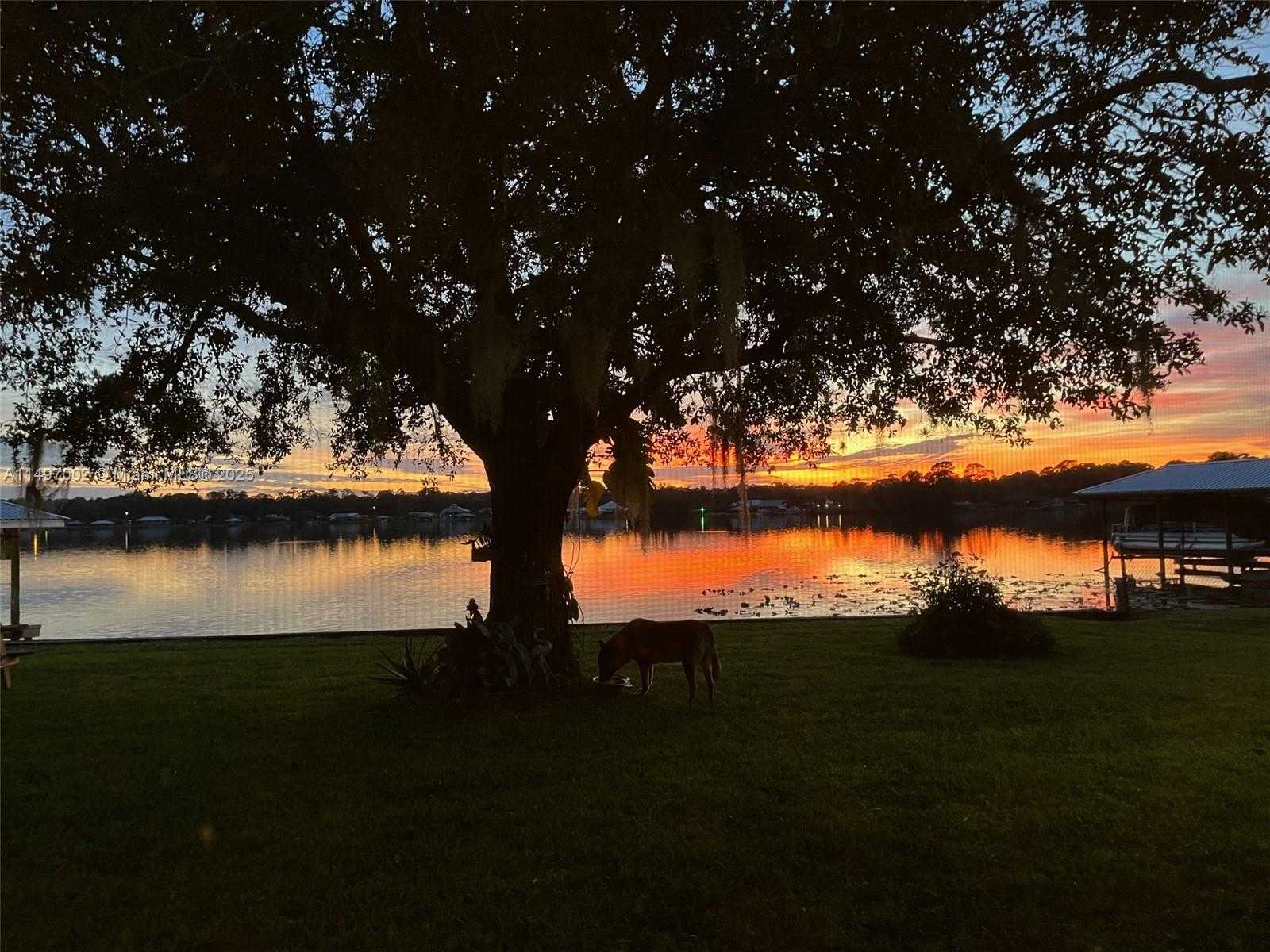 Small Image of 3118 TANGLEWYLDE AVENUE, Lake Placid Number 90