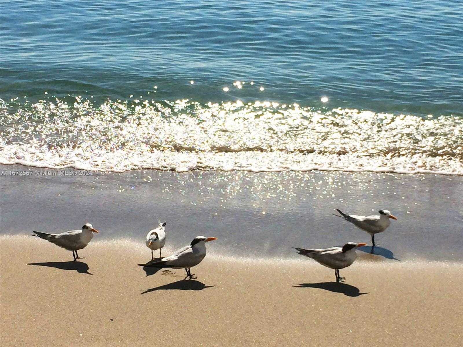 Small Image of 1410 SOUTH OCEAN DR #308, Hollywood Number 39