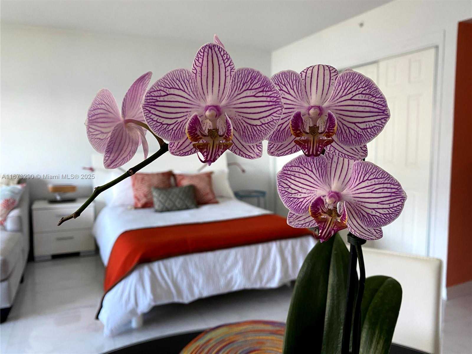 Small Image of 1500 BAY RD #956S, Miami Beach Number 9