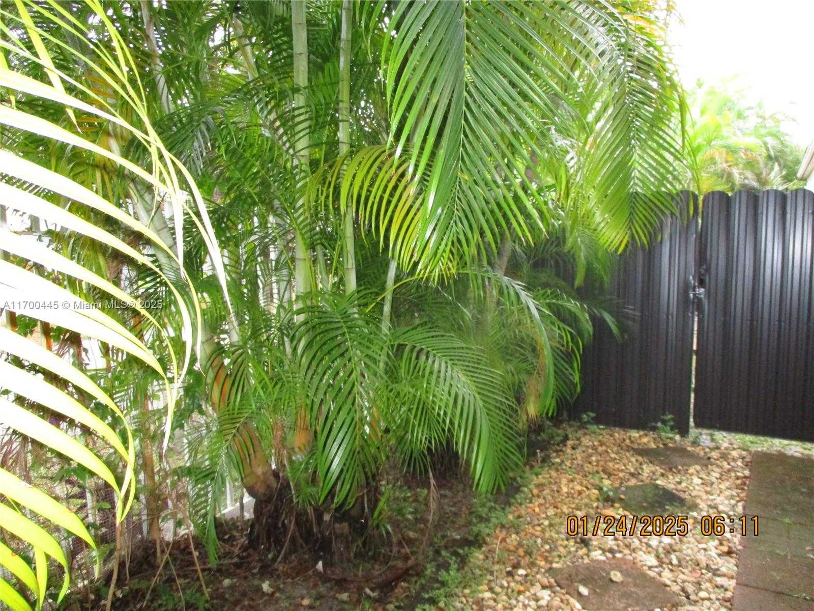 Small Image of 4802 WASHINGTON ST #2, Hollywood Number 6