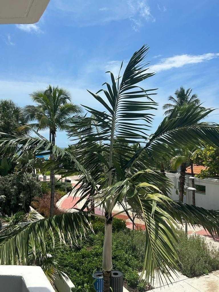 Small Image of 4301 COLLINS AVE #208, Miami Beach Number 26