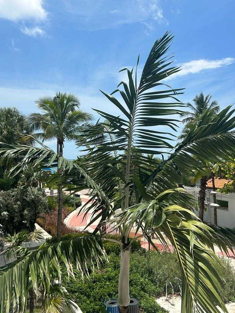Small Image of 4301 COLLINS AVE #208, Miami Beach Number 27