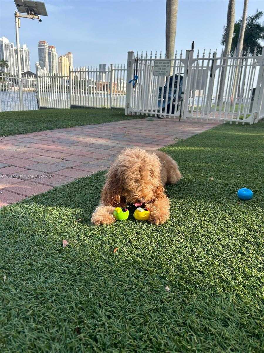 Imagen de Pequeño Objeto