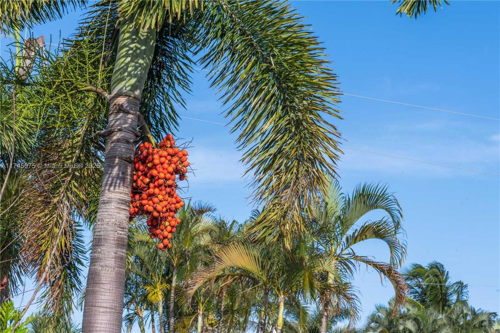 Small Image of 317 SOUTH EAST 7TH AVE, Deerfield Beach Number 60