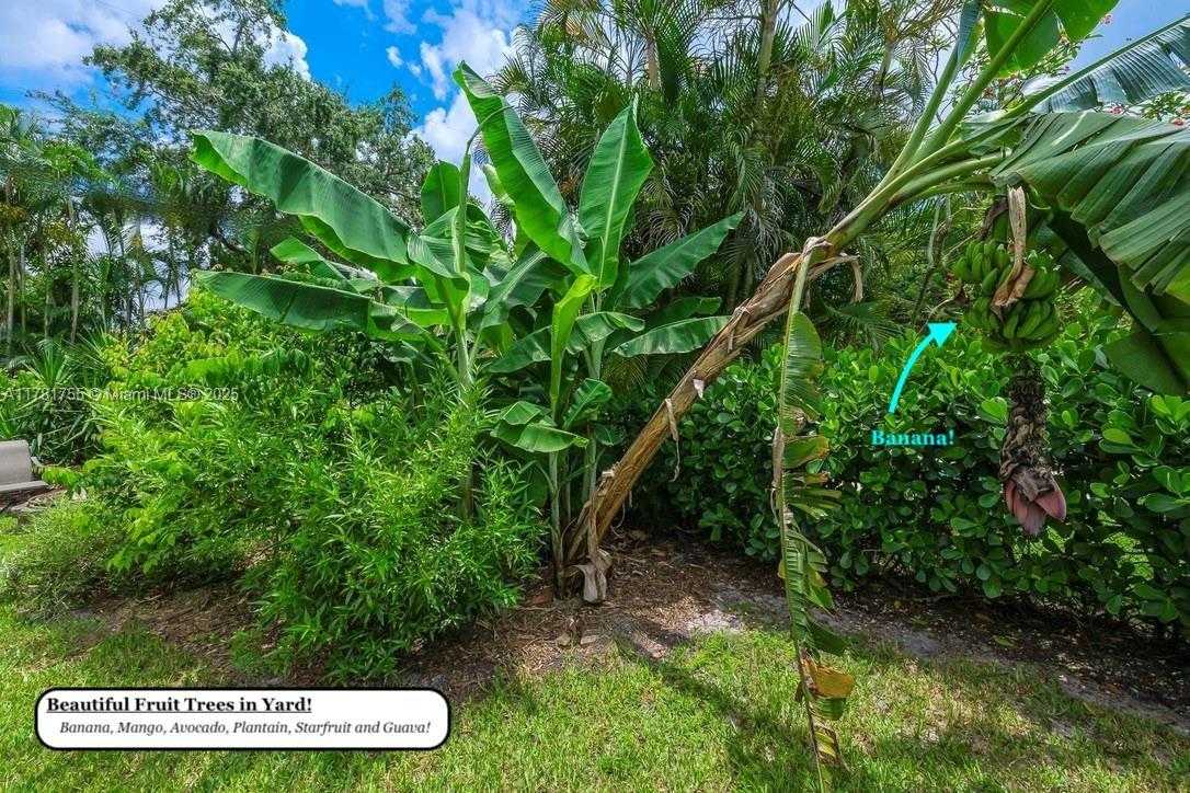 Small Image of 65 NORTH EAST 107TH ST, Miami Shores Number 29