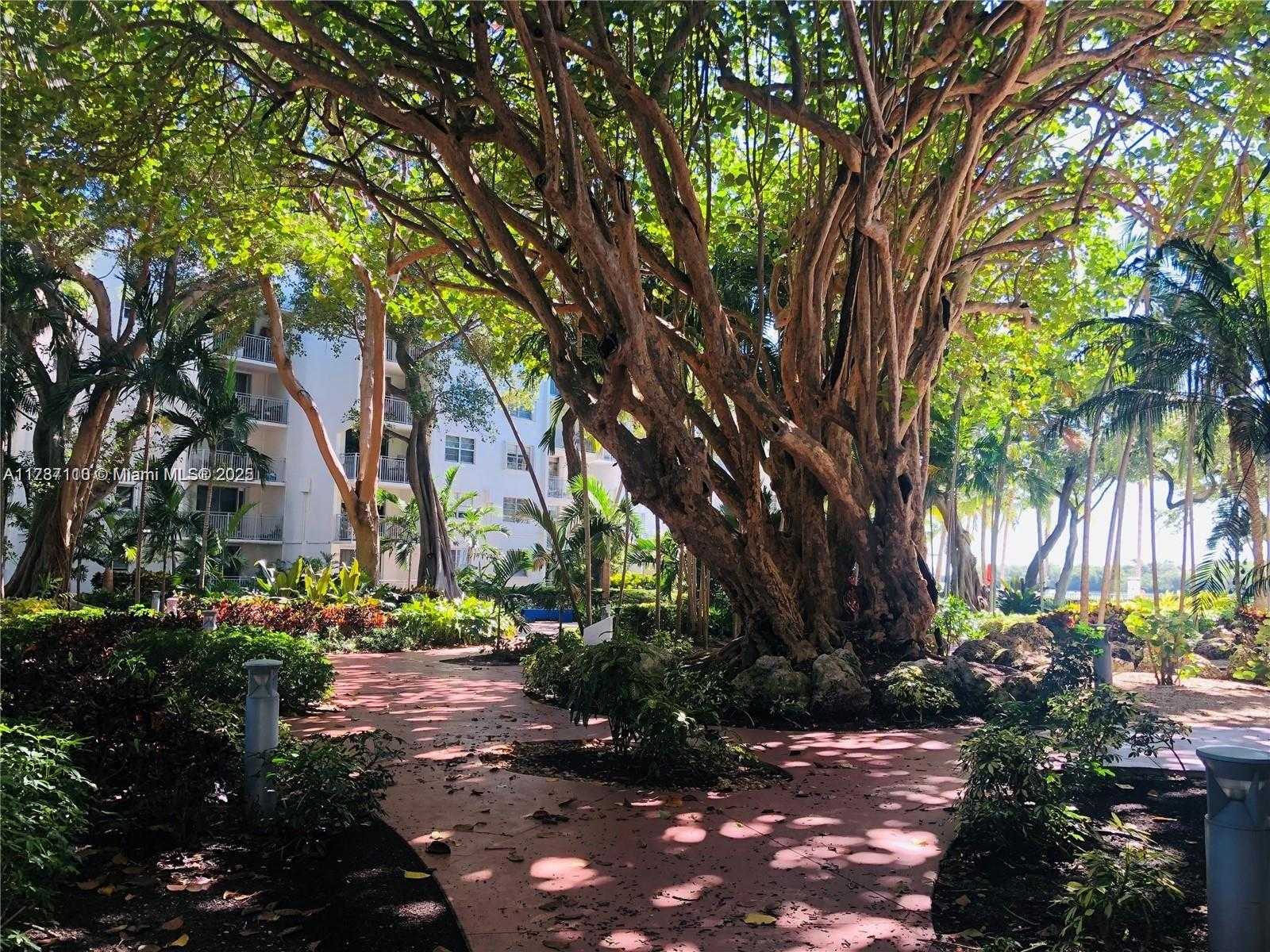 Small Image of 700 NORTH EAST 63 ST #D210, Miami Number 25