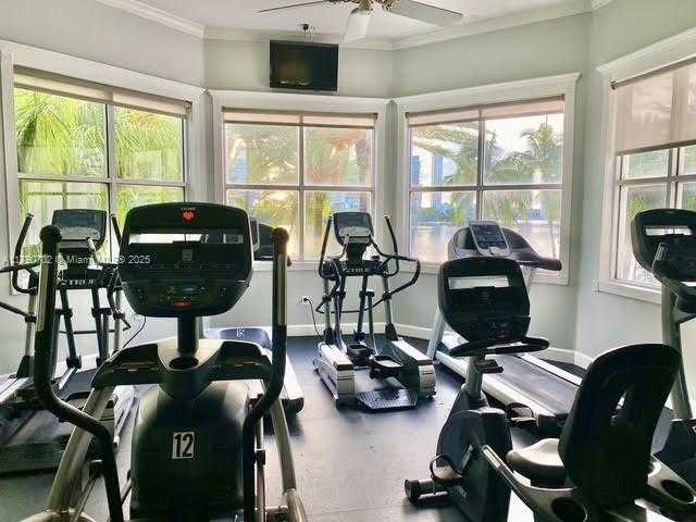 Small Image of 3235 #11101, Aventura Number 34
