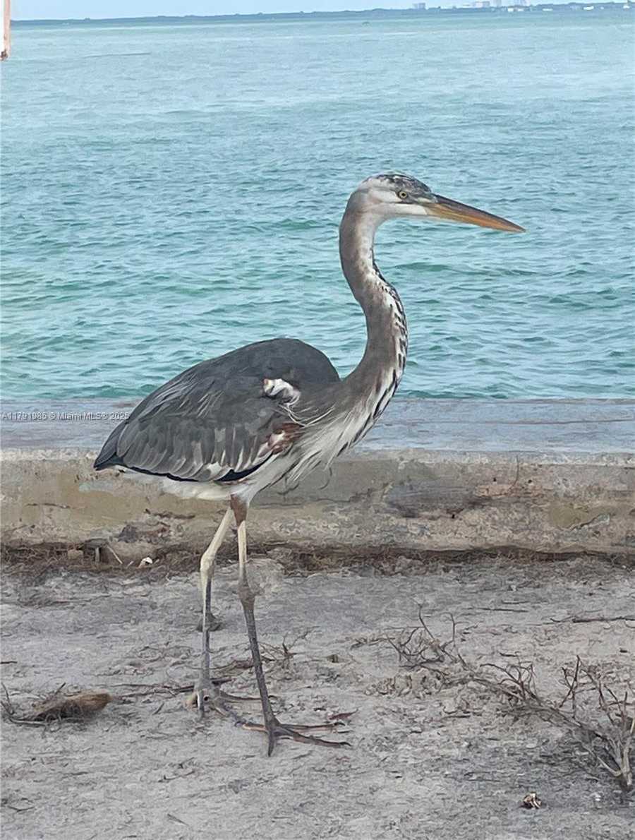 Small Image of 575 CRANDON BLVD #307, Key Biscayne Number 37