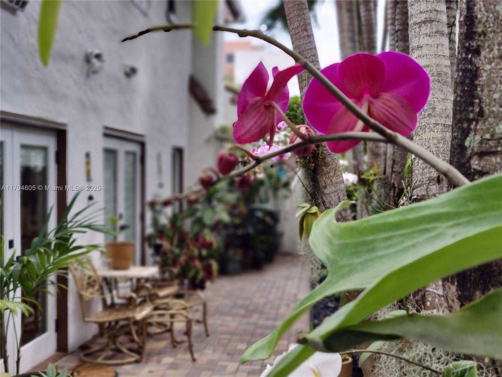 Small Image of 1823 SOUTH BAYSHORE LN, Miami Number 51