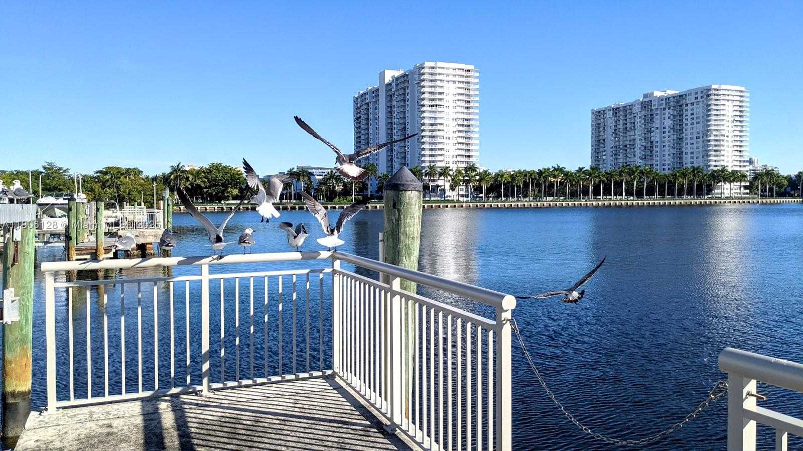 Small Image of 18011 BISCAYNE BLVD #803, Aventura Number 18