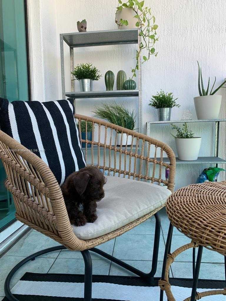 Small Image of 951 BRICKELL AVE #1503, Miami Number 7