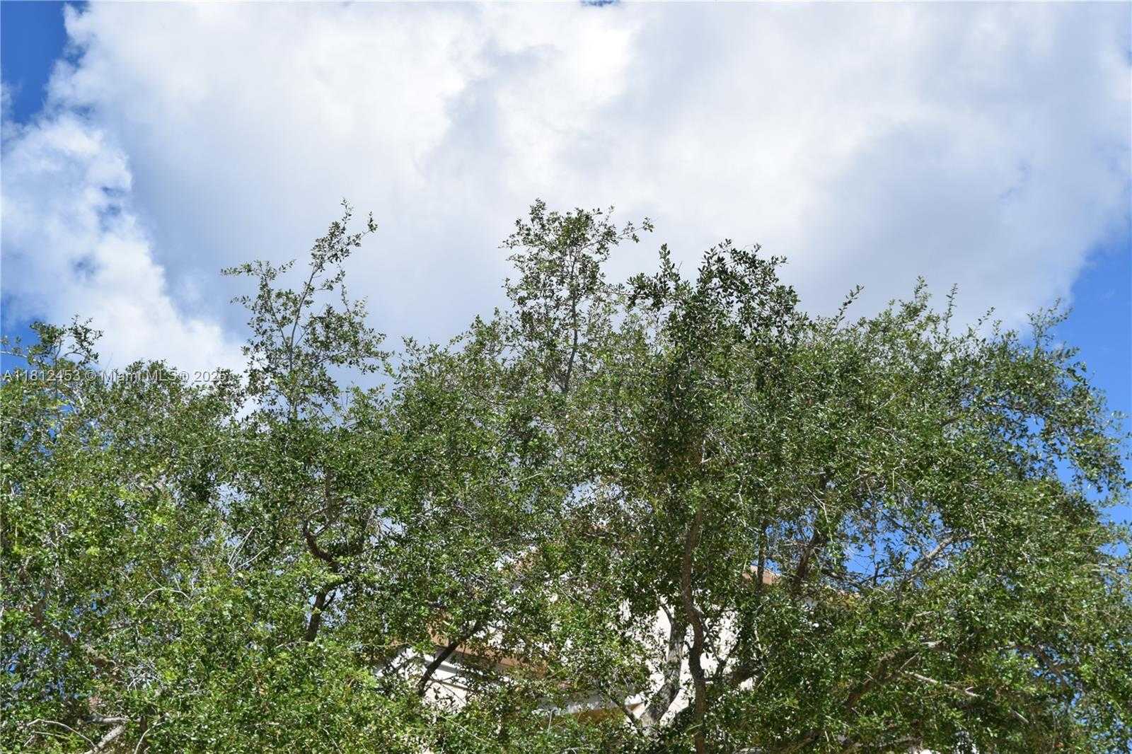 Small Image of 991 CRESTVIEW CIR, Weston Number 60