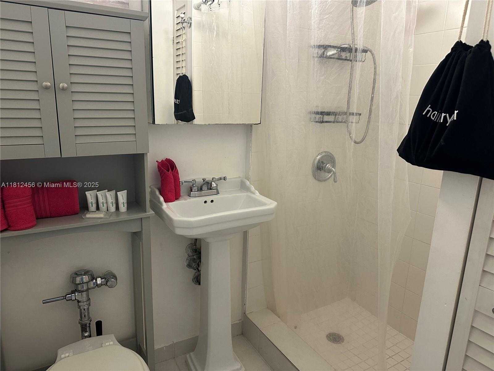 Small Image of 255 WEST 24TH ST #334, Miami Beach Number 20