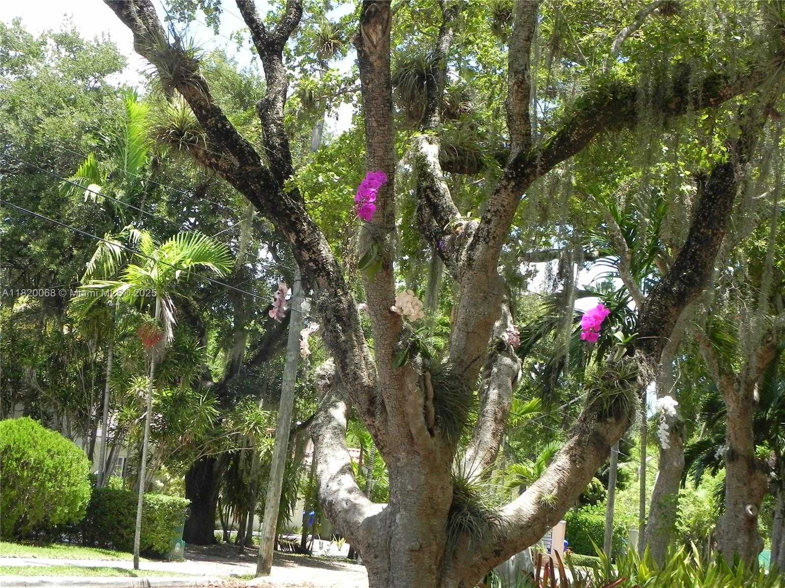Small Image of Miami Number 38