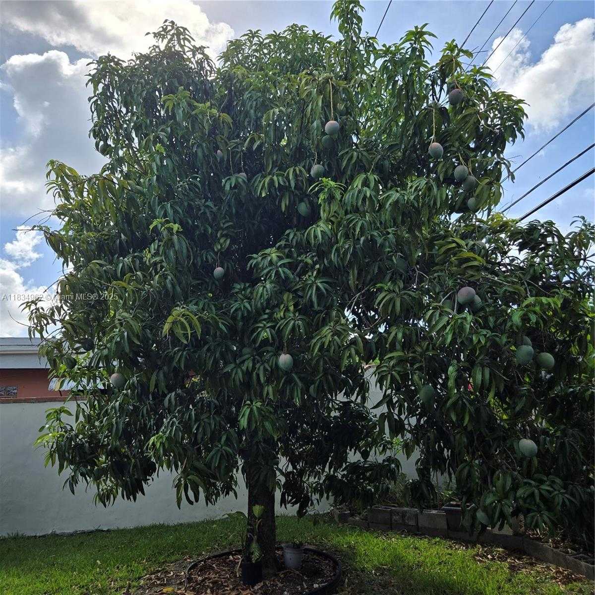 Small Image of 6428 SOUTH WEST 39TH ST, Miami Number 17