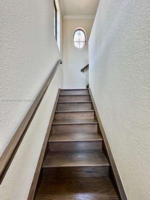 Imagen de Pequeño Objeto