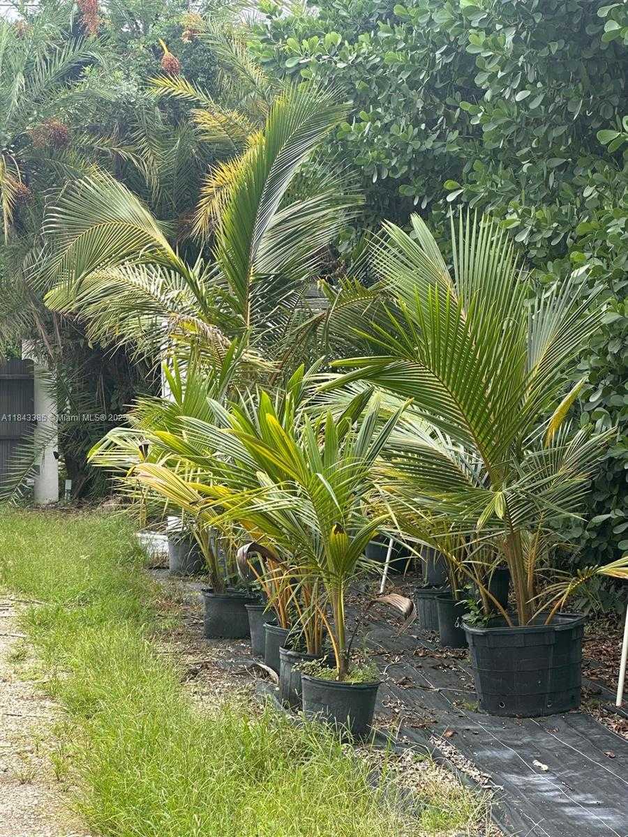 Small Image of 28000 SOUTH WEST 157TH AVE #1, Homestead Number 6