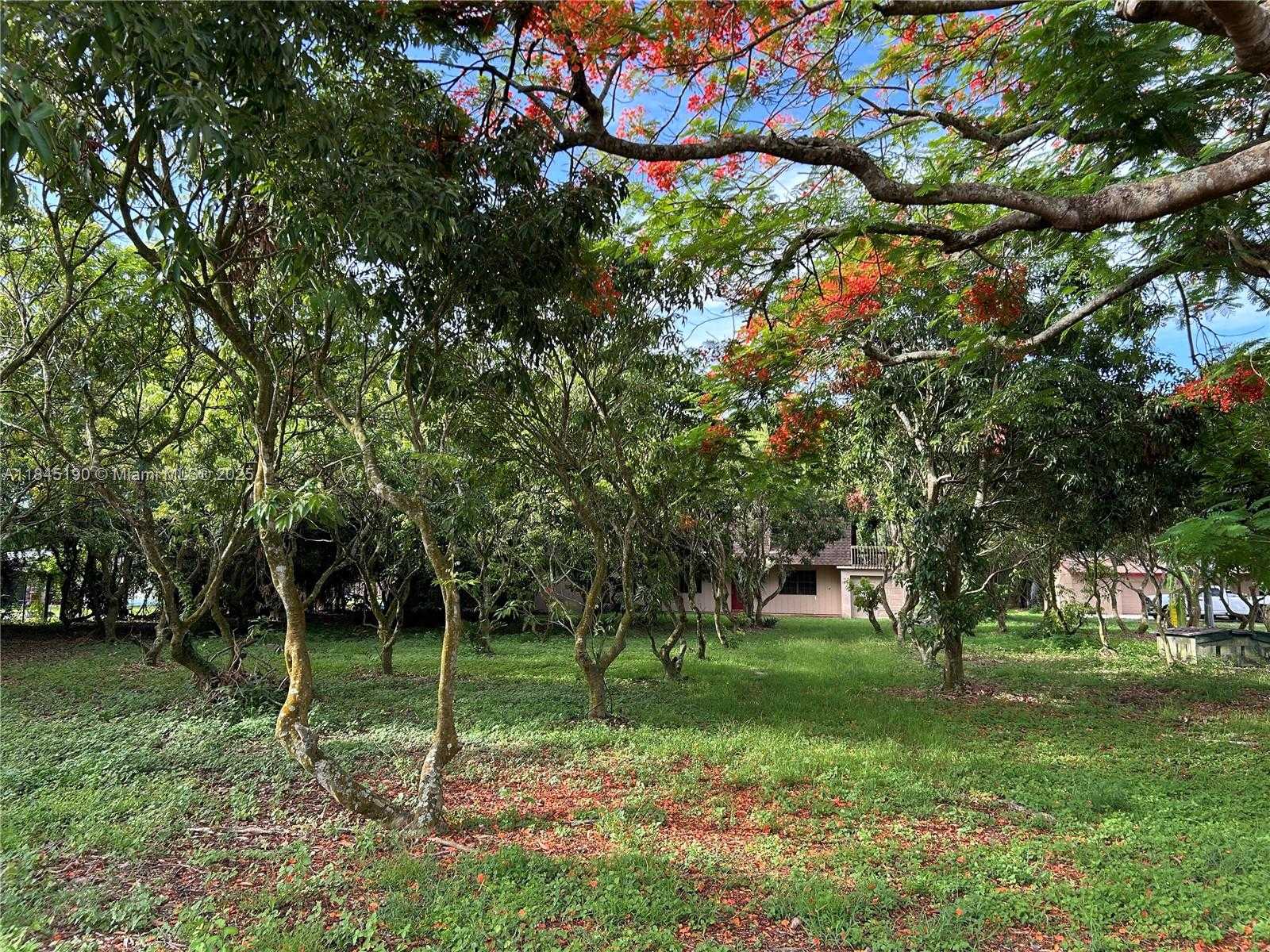 Small Image of Homestead Number 5