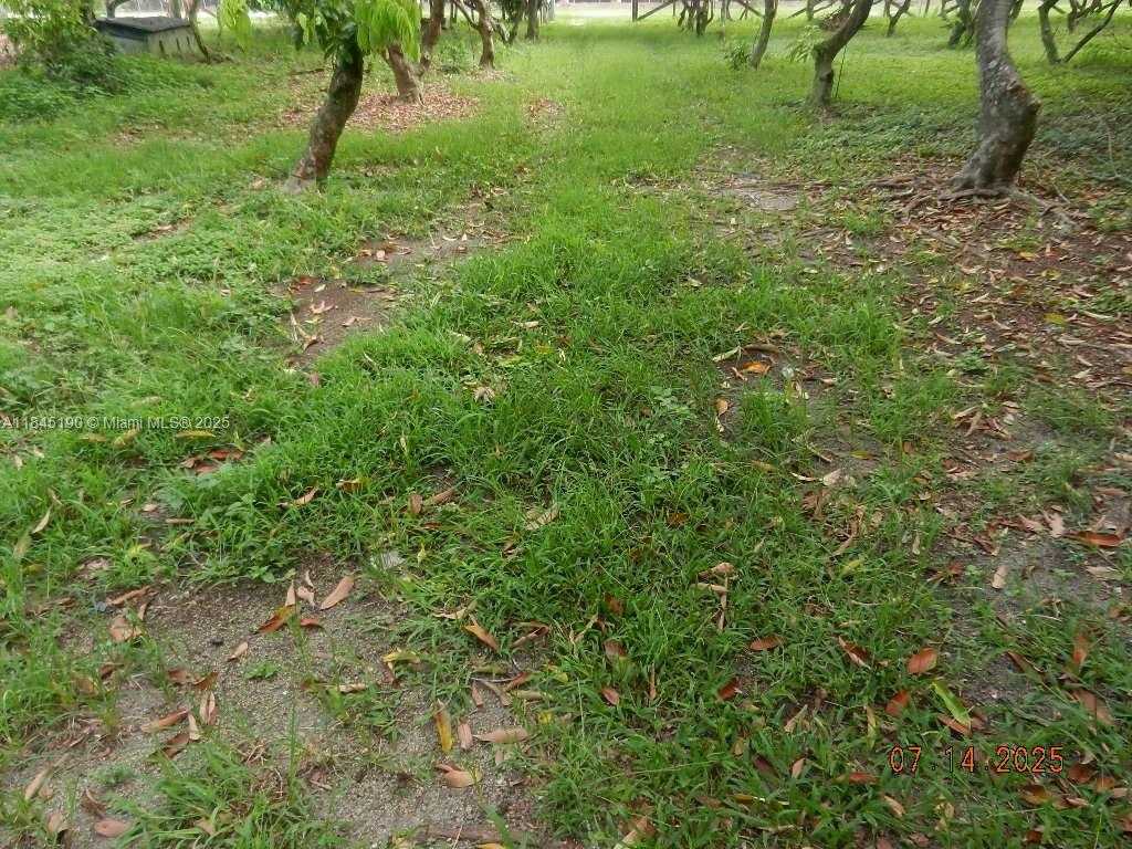 Small Image of Homestead Number 59