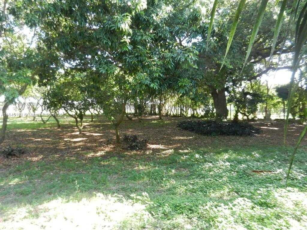Small Image of Homestead Number 61