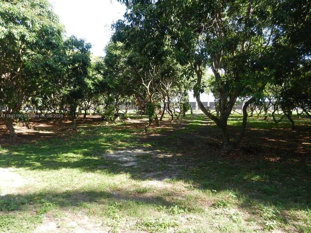 Small Image of Homestead Number 65