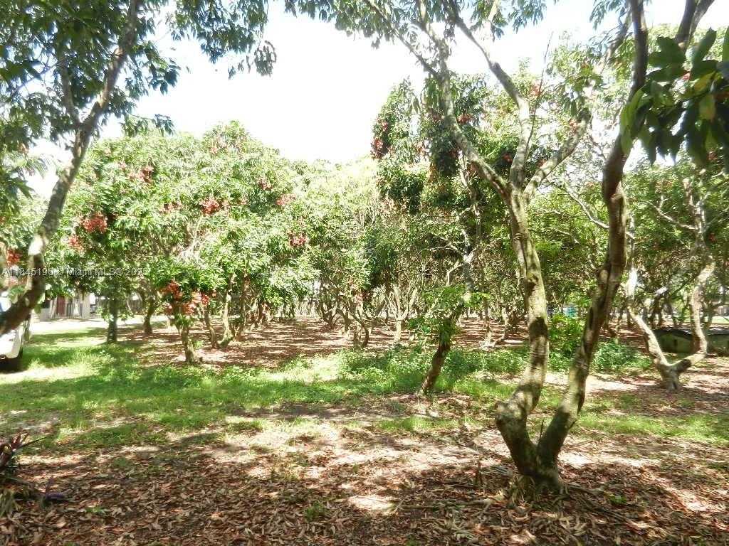 Small Image of Homestead Number 67