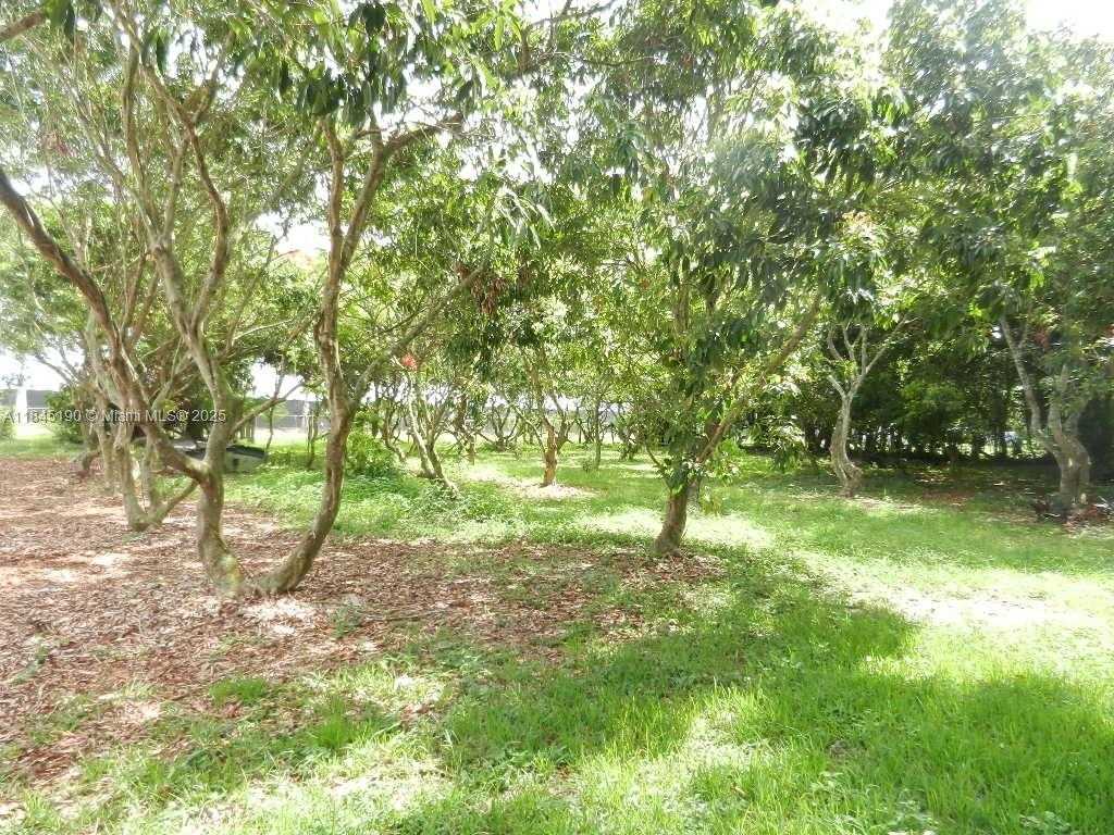 Small Image of Homestead Number 69