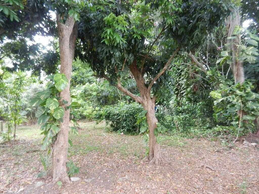 Small Image of Homestead Number 70