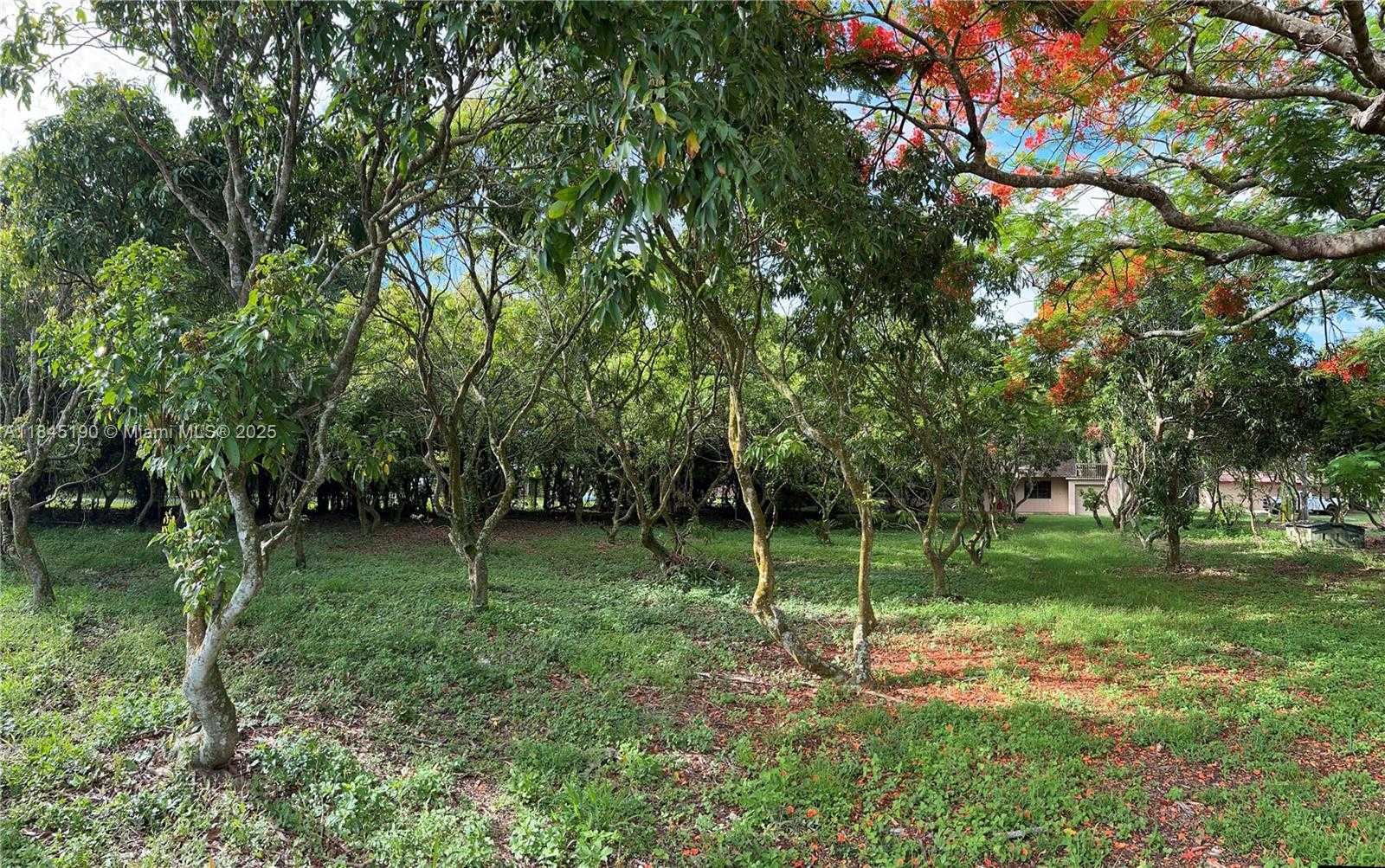 Small Image of Homestead Number 71
