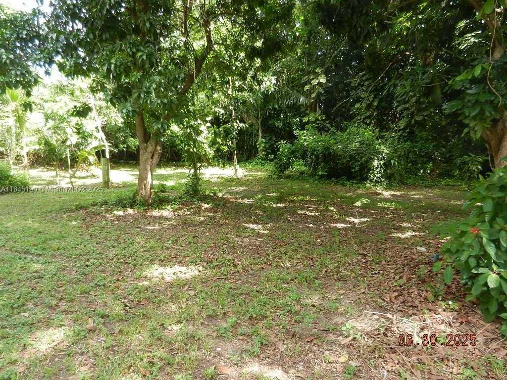 Small Image of Homestead Number 74