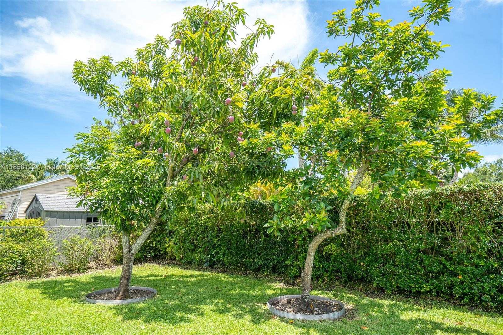 Small Image of 13253 SOUTH WEST 104TH CT, Miami Number 32