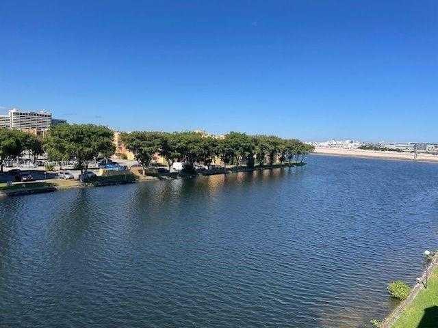 Small Image of Miami Number 29