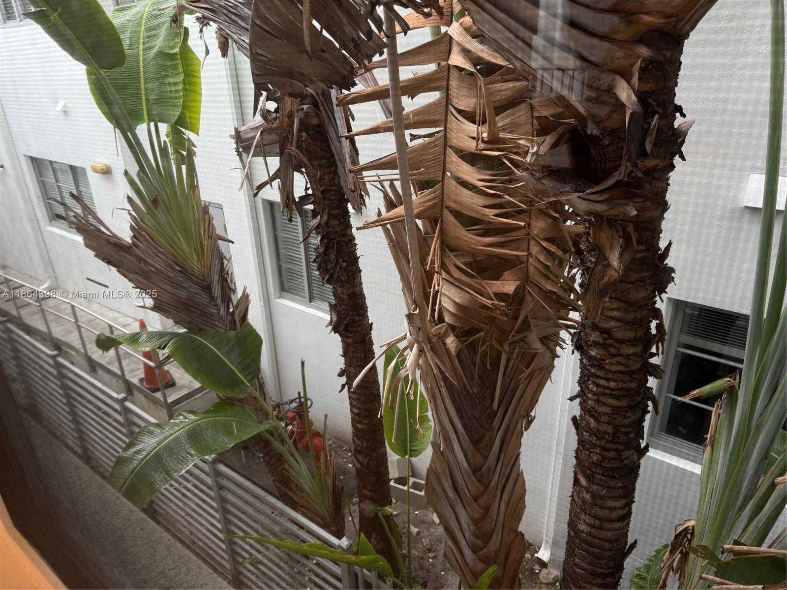 Small Image of 1610 EUCLID AVE #B203, Miami Beach Number 9