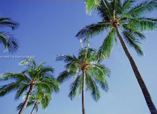 Small Image of Miami Beach Number 22